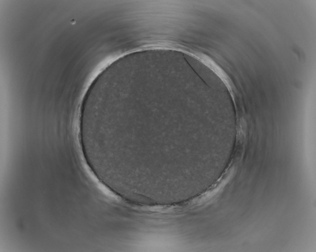 X0000112071005200908251038
