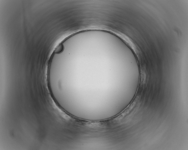 X0000112071006200908251038