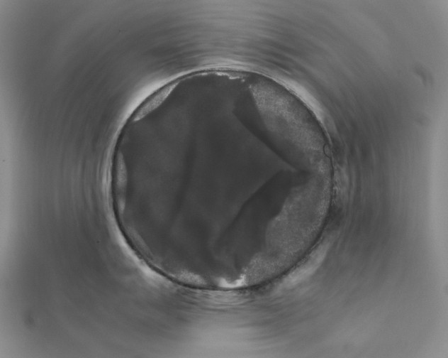 X0000112071007200908251038