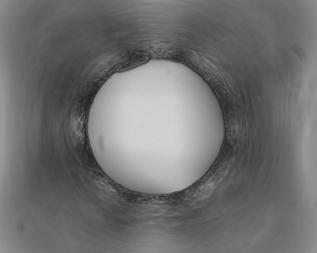 X0000112071010200908251038