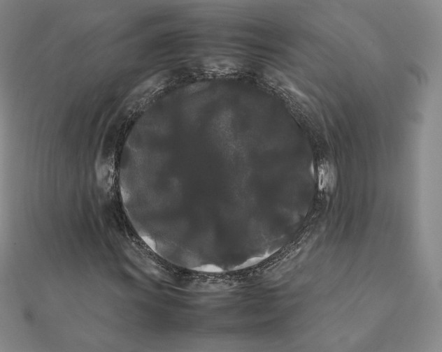 X0000112071011200908251038