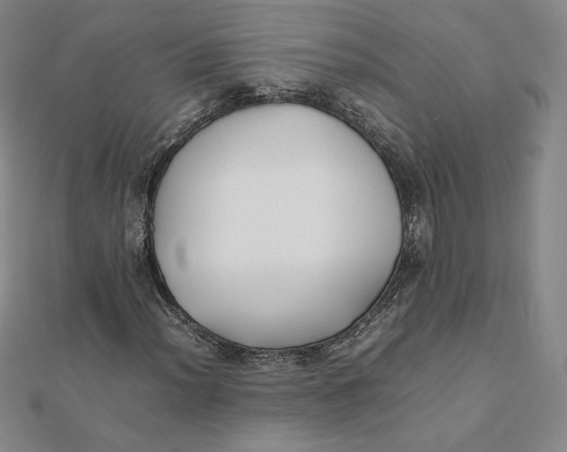 X0000112071012200908251038