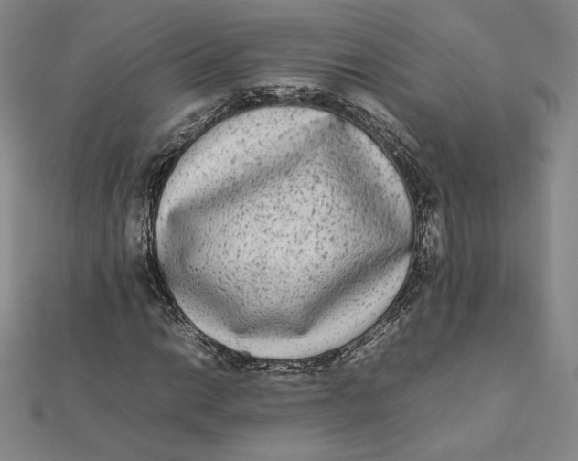 X0000112071014200908251038