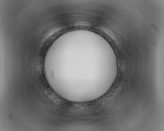 X0000112071015200908251038
