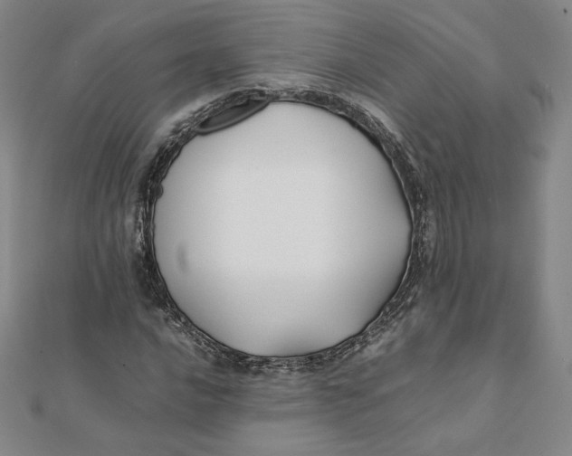 X0000112071016200908251038