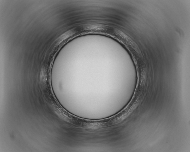 X0000112071017200908251038