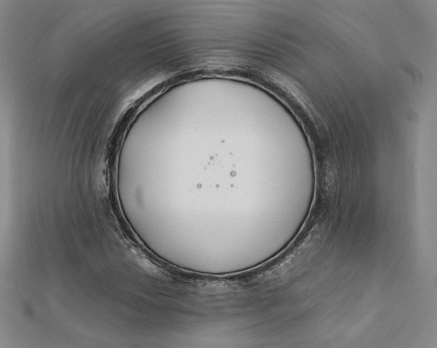 X0000112071018200908251038