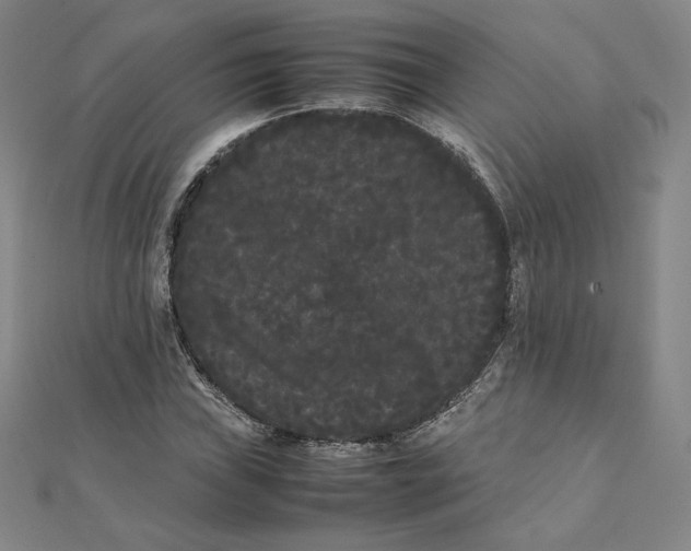 X0000112071019200908251038