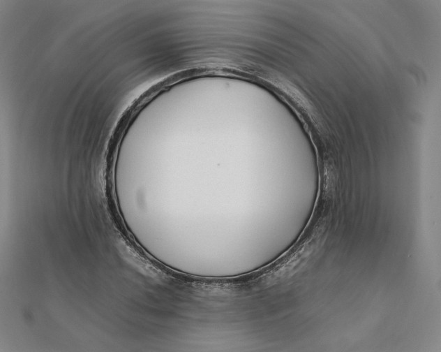 X0000112071020200908251038
