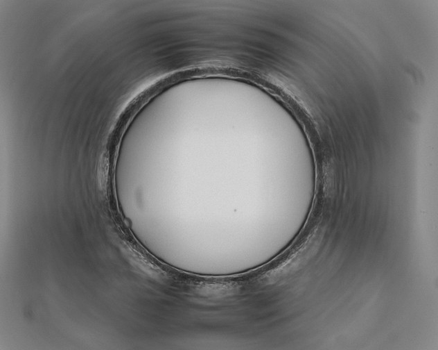X0000112071021200908251038