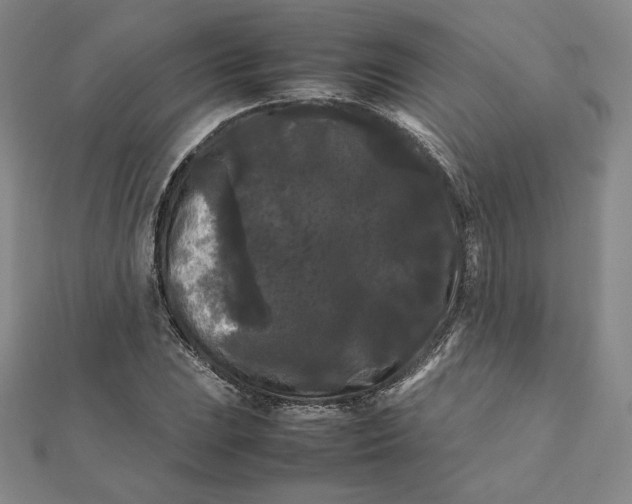 X0000112071023200908251038