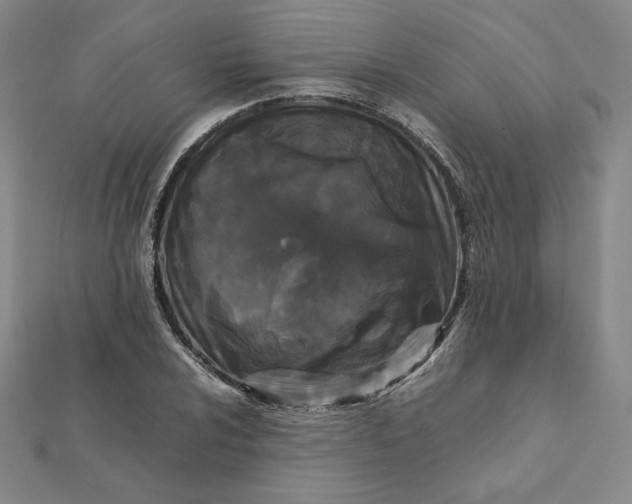X0000112071024200908251038