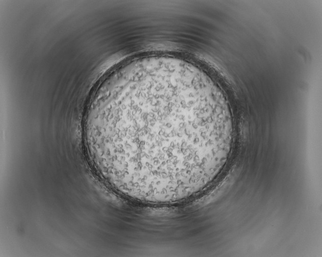 X0000112071025200908251038