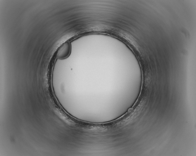 X0000112071026200908251038