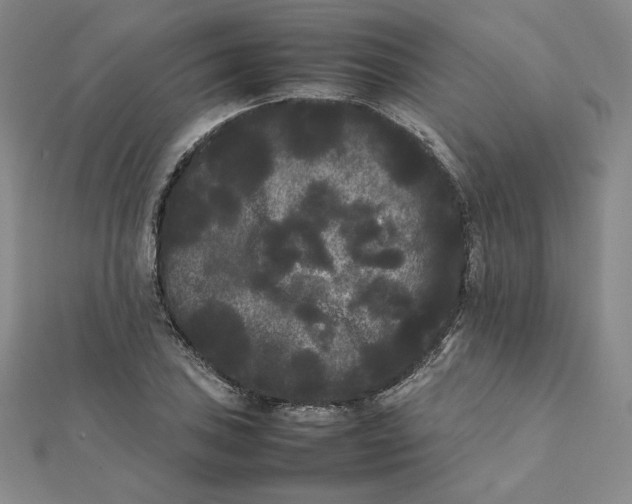 X0000112071027200908251038