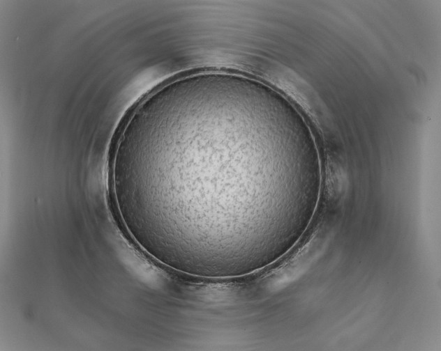 X0000112071028200908251038