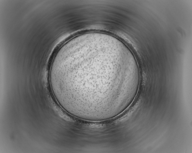 X0000112071029200908251038