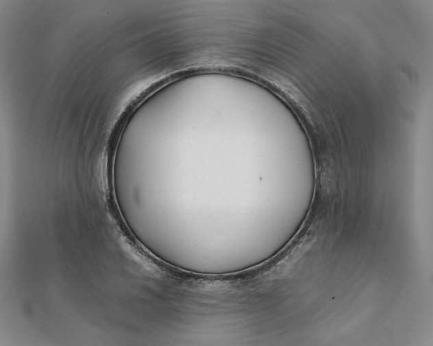 X0000112071030200908251038