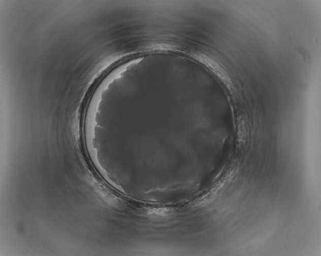 X0000112071031200908251038