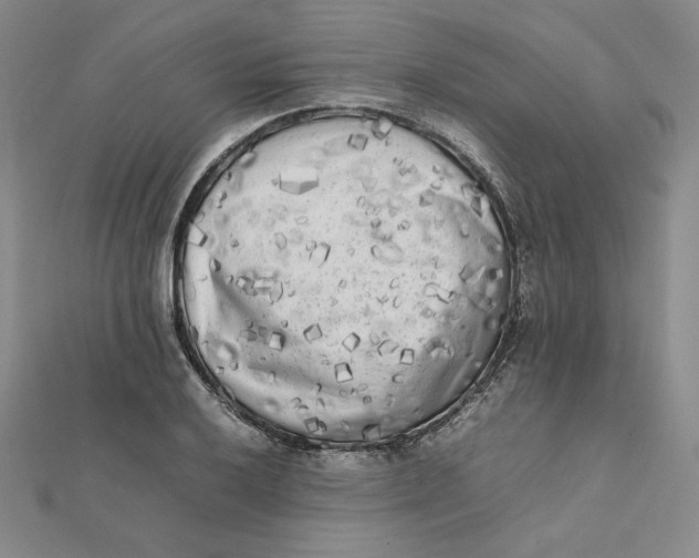 X0000112071032200908251038