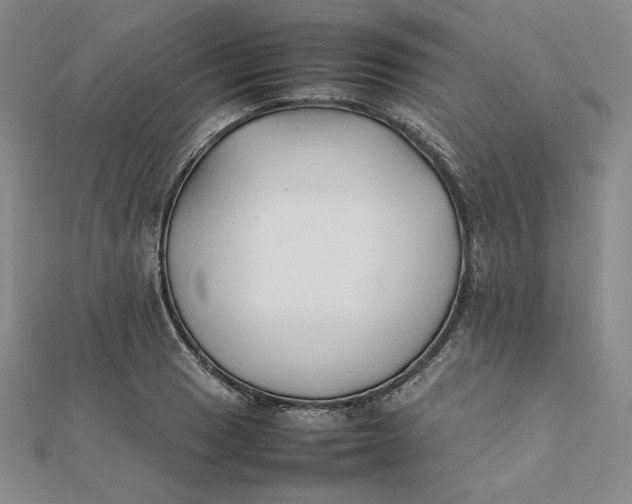 X0000112071033200908251038