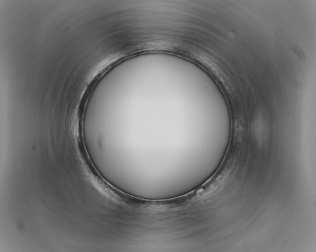 X0000112071034200908251038