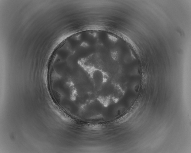 X0000112071035200908251038