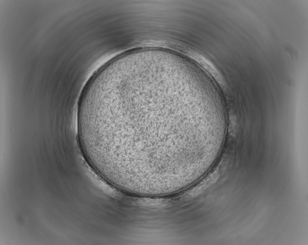 X0000112071036200908251038