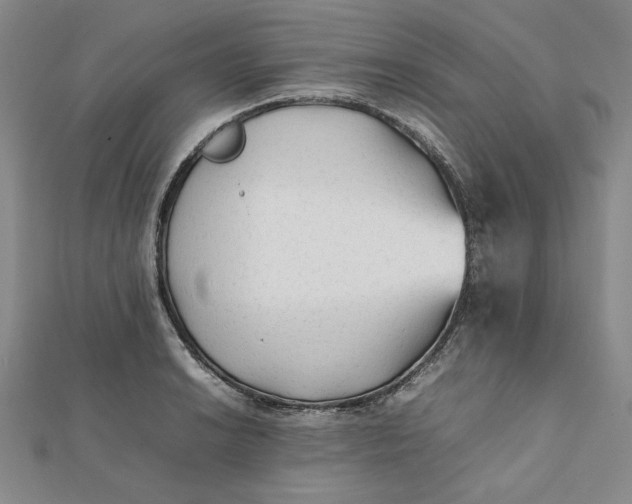 X0000112071038200908251038