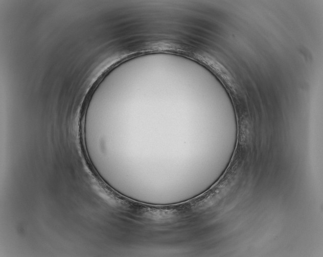 X0000112071039200908251038