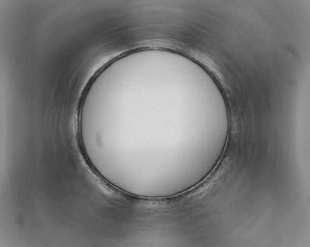 X0000112071040200908251038