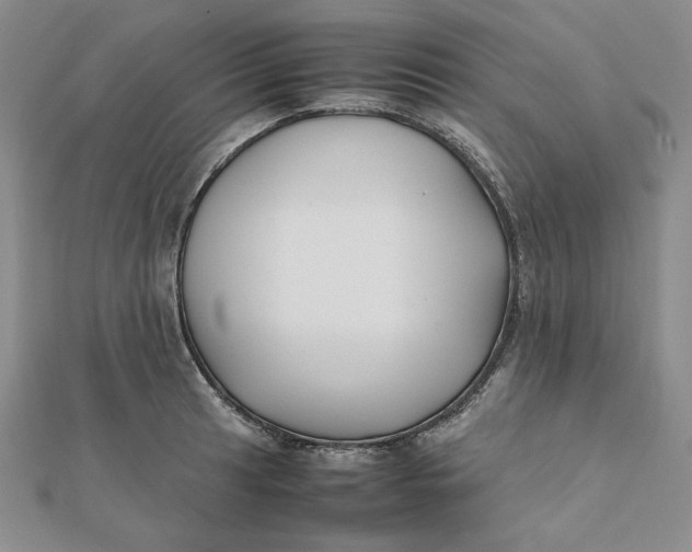 X0000112071041200908251038