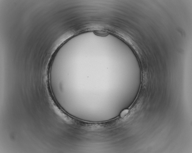 X0000112071042200908251038