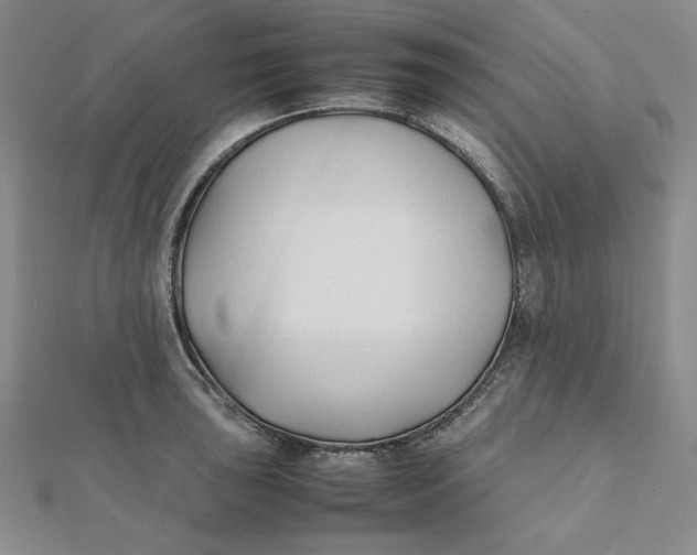 X0000112071043200908251038