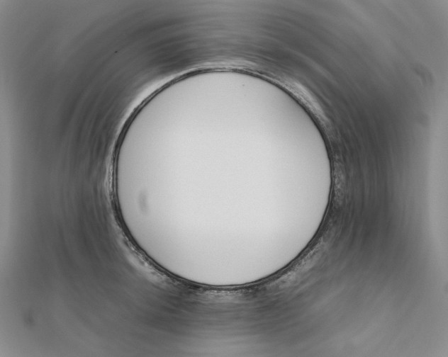 X0000112071044200908251038