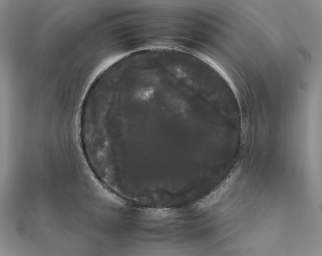 X0000112071045200908251038