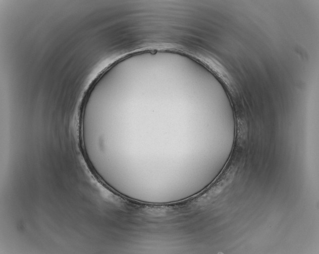 X0000112071046200908251038