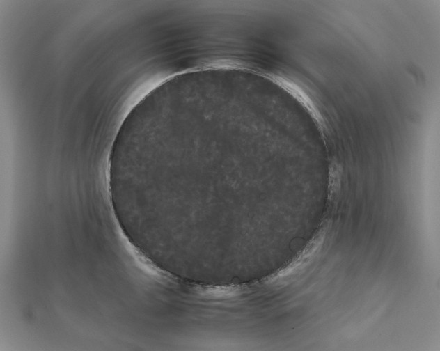 X0000112071047200908251038