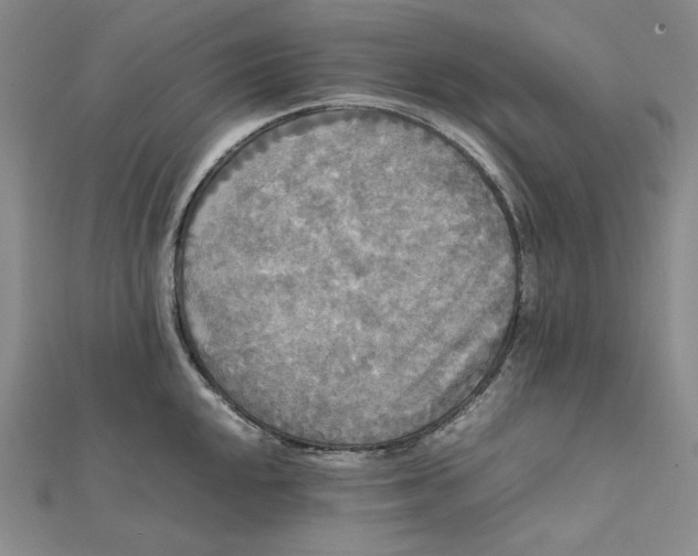 X0000112071048200908251038