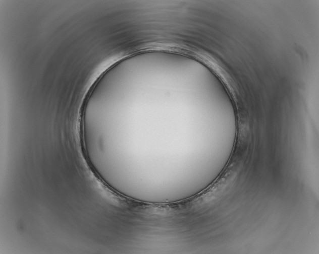X0000112071050200908251038