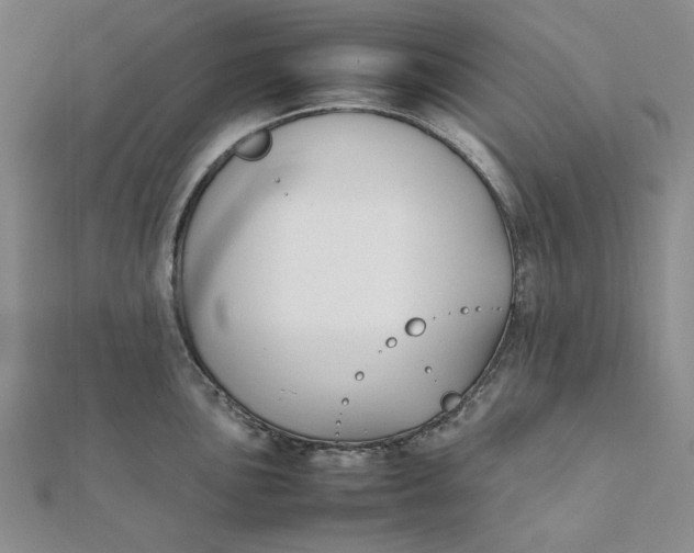 X0000112071051200908251038