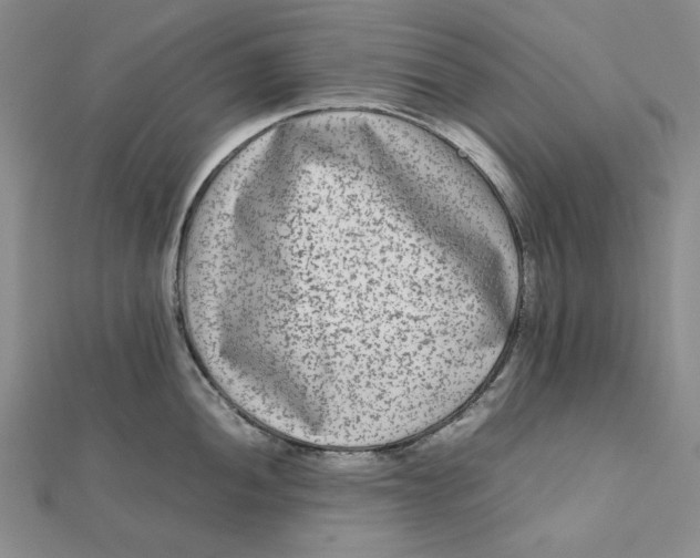 X0000112071052200908251038
