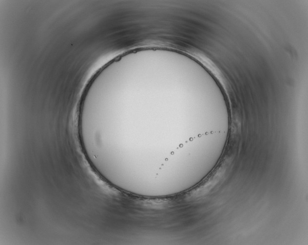 X0000112071053200908251038