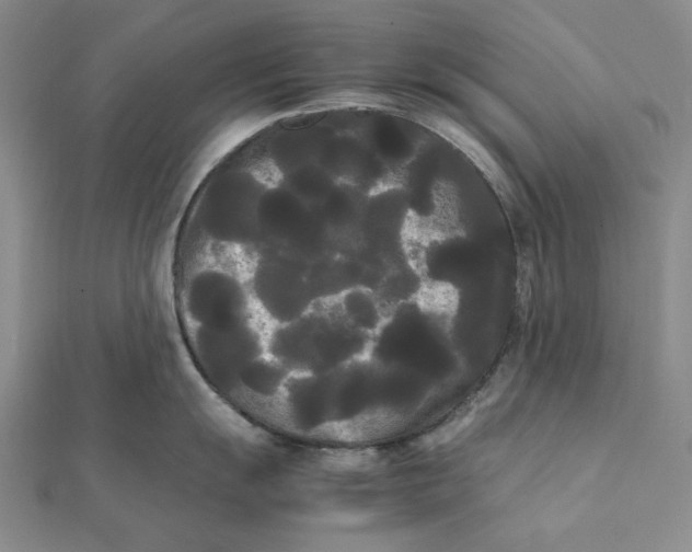X0000112071055200908251038