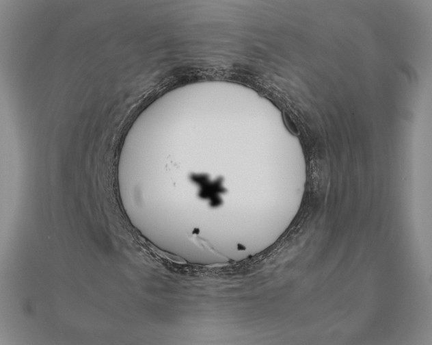 X0000112071057200908251038