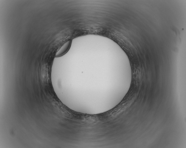 X0000112071058200908251038