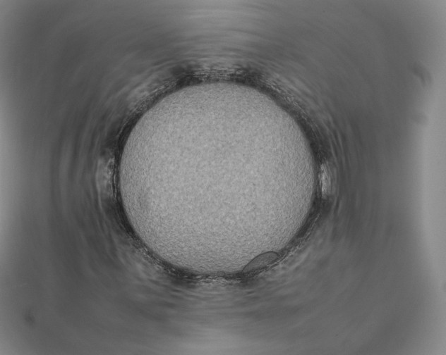 X0000112071059200908251038