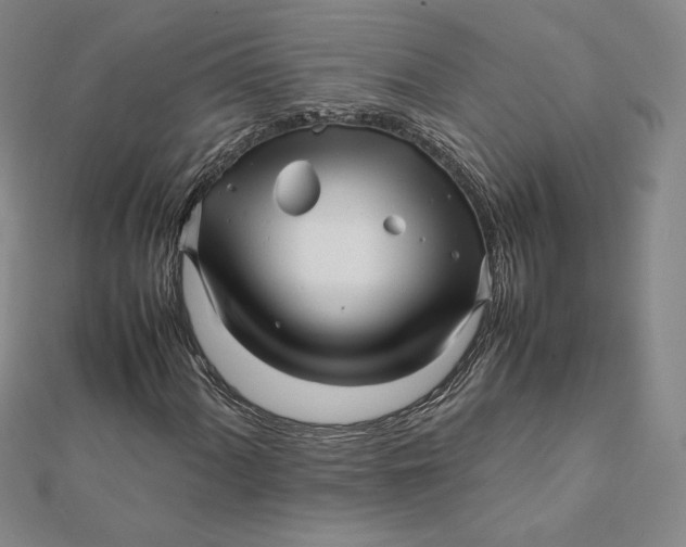 X0000112071060200908251038