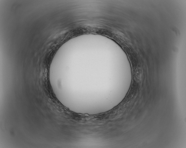 X0000112071061200908251038