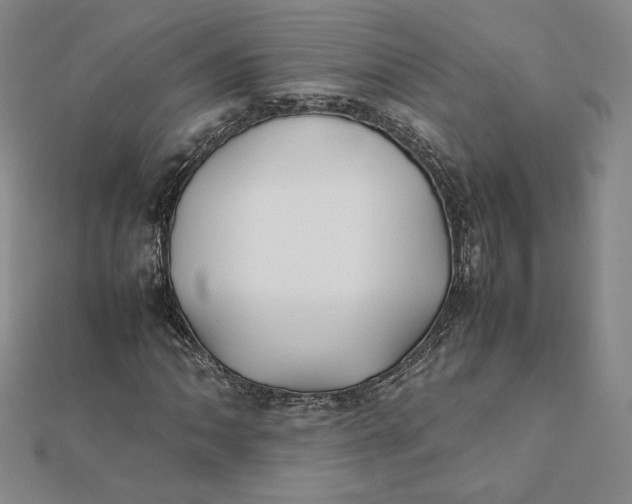 X0000112071062200908251038